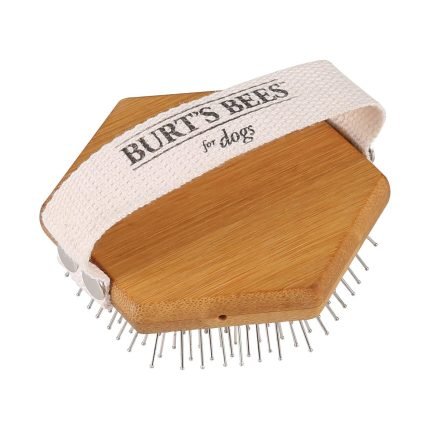 Burt's Bees dog detangler brush